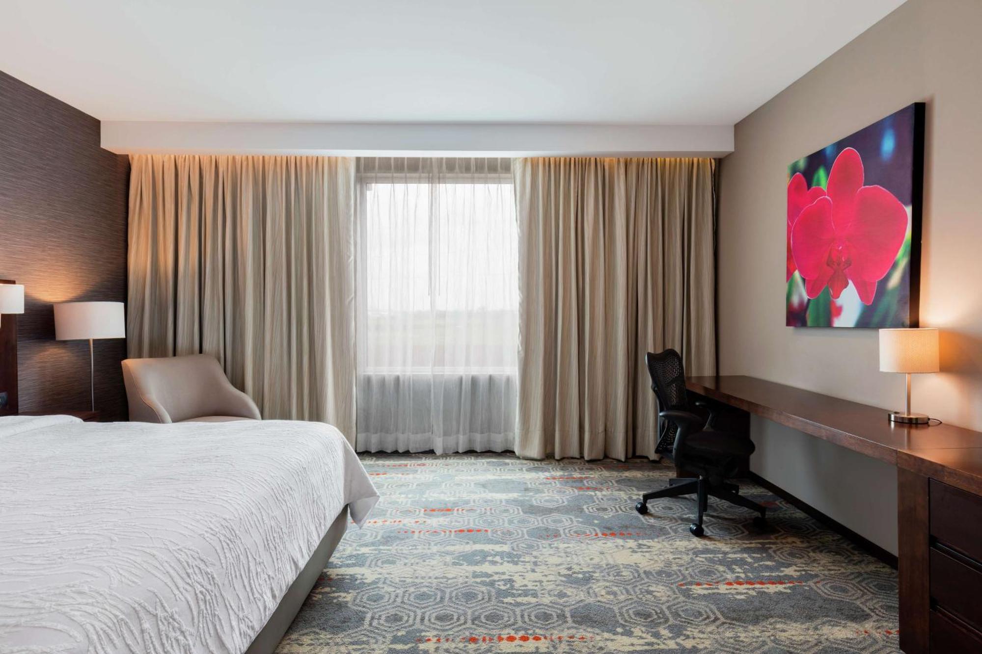 Hilton Garden Inn Salamanca Bagian luar foto